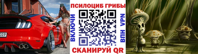 Галлюциногенные грибы мицелий  Узловая 